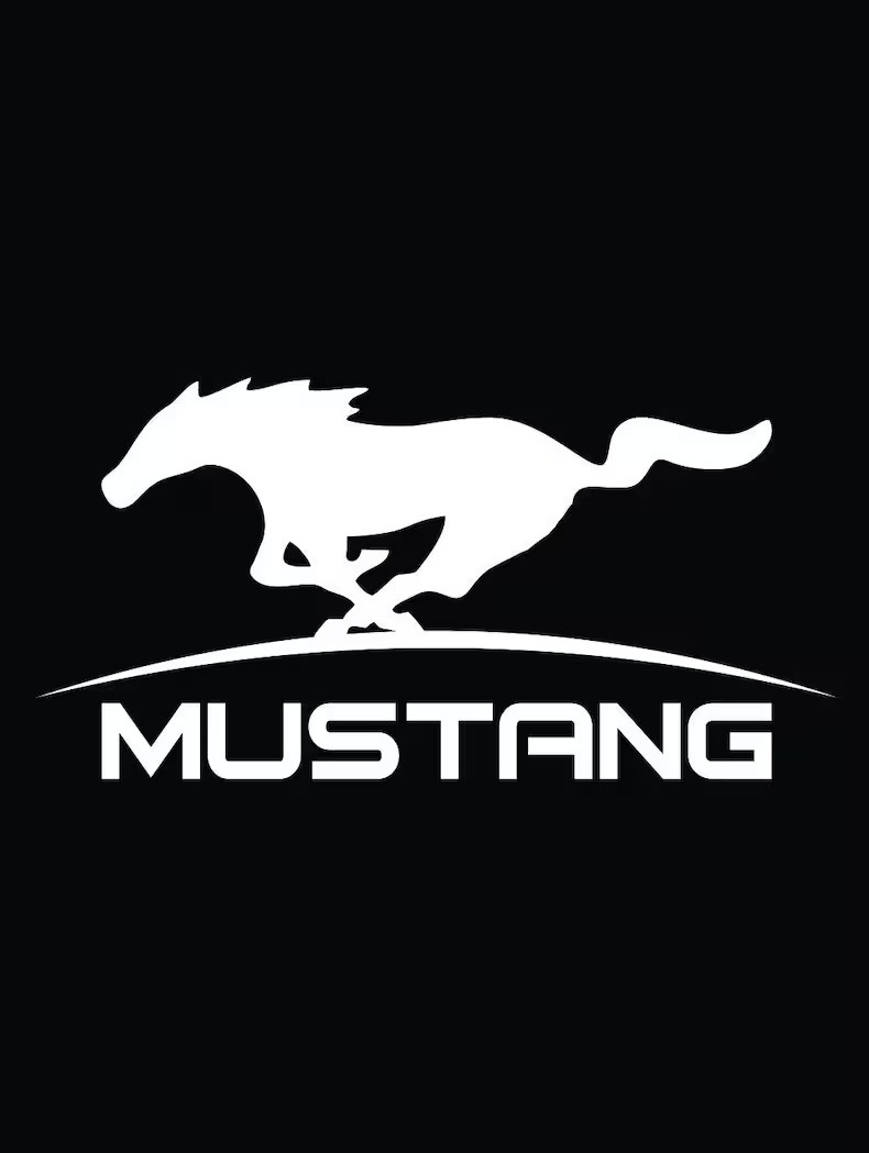 Mustang Custom