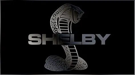 Shelby Custom